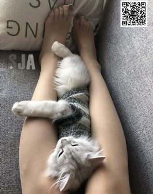 梦想三国全集免费版电视剧中文版_高清版日韩电影在线