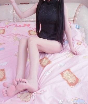 爱犬h_高清在线播放