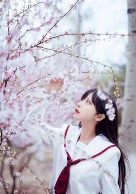 全职法师在线观看免费完整观看_国产剧高清完整版